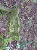 image of grave number 485488